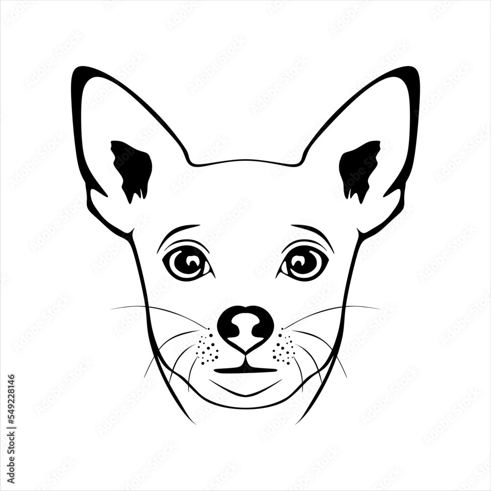 Chihuahua dog face line art sketch vector illustration. Chihuahua dog head symbol isolated on ...