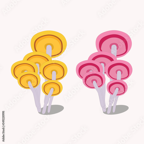 mushroom for your decoration image, Morchella esculenta
