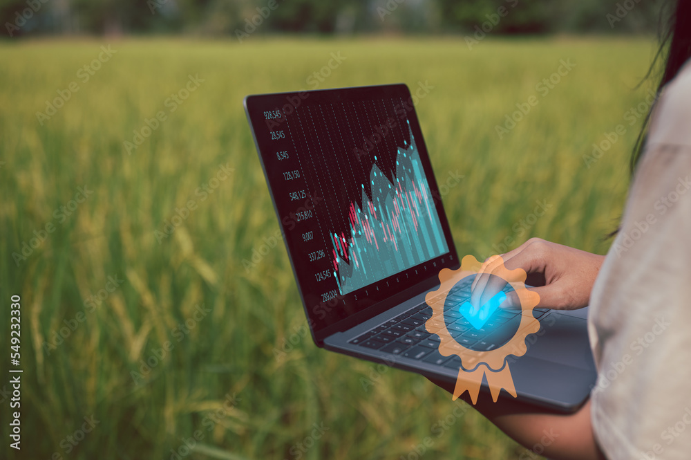 Φωτογραφία top quality agricultural product, a woman holding computer laptop working in rice field, collecting and planning for achieve top quality product, best farming, top farming management
