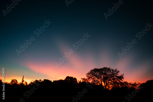 sun rays in the sky at sunset in the forest photo