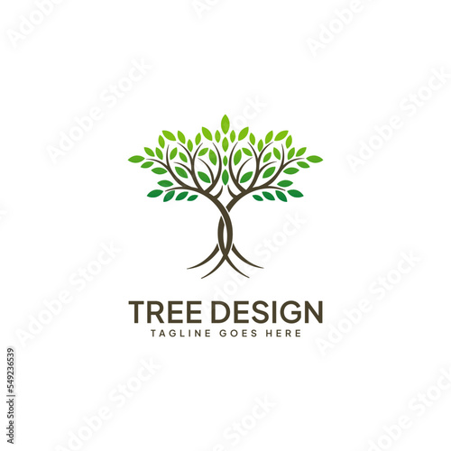 Growth logo concept  tree logo template vector icon