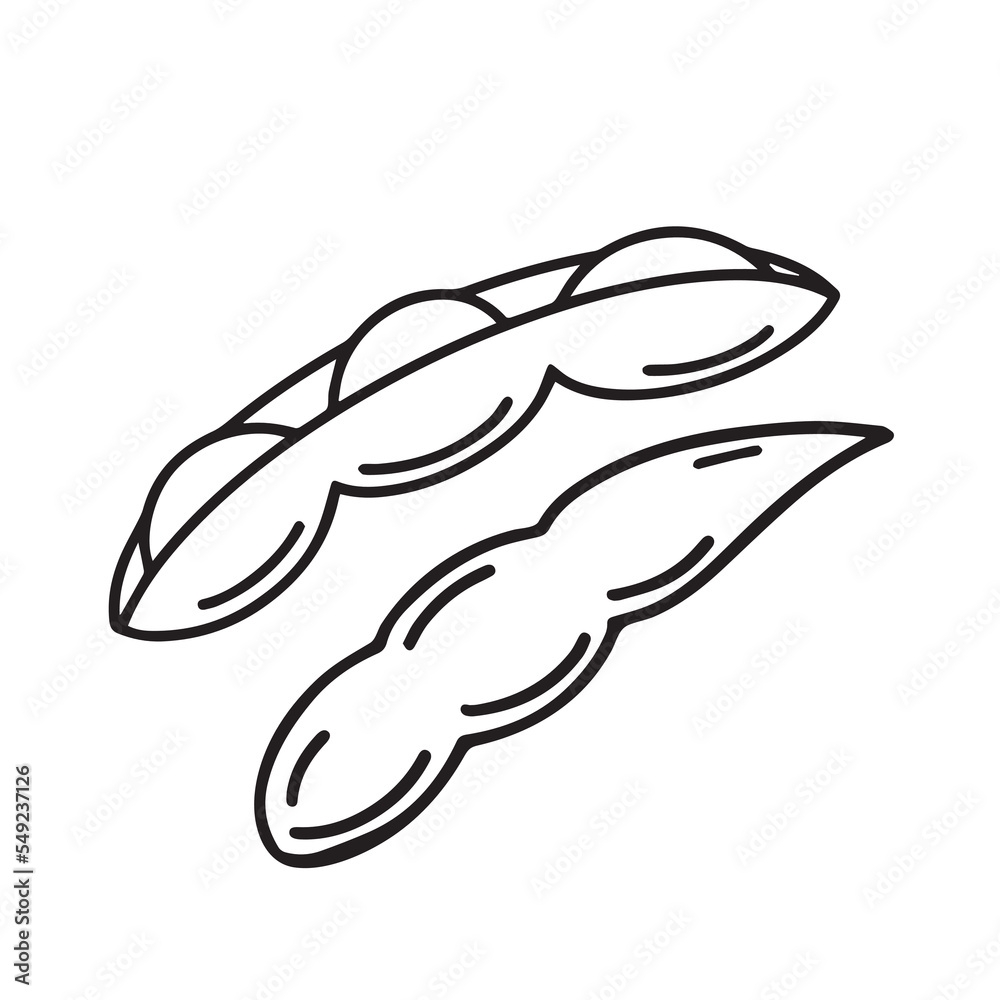 Fototapeta premium Edamame vegetable bean vector icon drawing with clean cartoon flat art style drawing isolated on plain white background. Black and white pictogram drawing. Opened edamame japanese vegies.