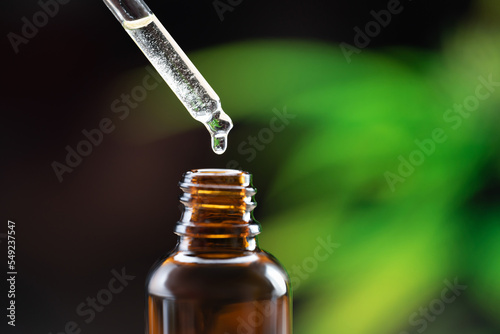 Closeup dropper with CBD oil at the tip, near to the CBD oil container. Legalized CBD oil for the treatment of illness. photo
