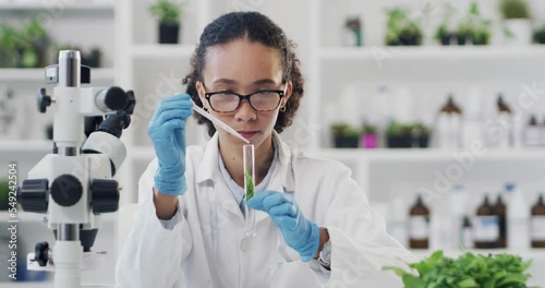 Science, research and scientist study plant in a laboratory for chemistry, medicine and innovation in healthcare. Scientific, futuristic and botanist in lab for genetic, leaf and experiment on nature