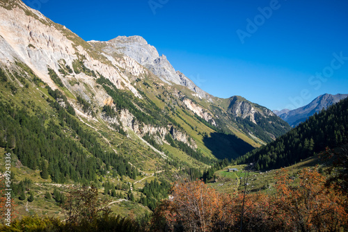 Mountains and forest landscape in French alps