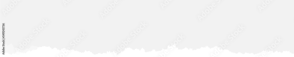 Paper stripe with ripped edge. Torn white sheet mockup Paper stripe with ripped edge. Torn white sheet mockup