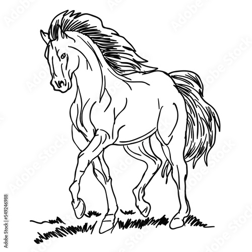 sketch of a horse