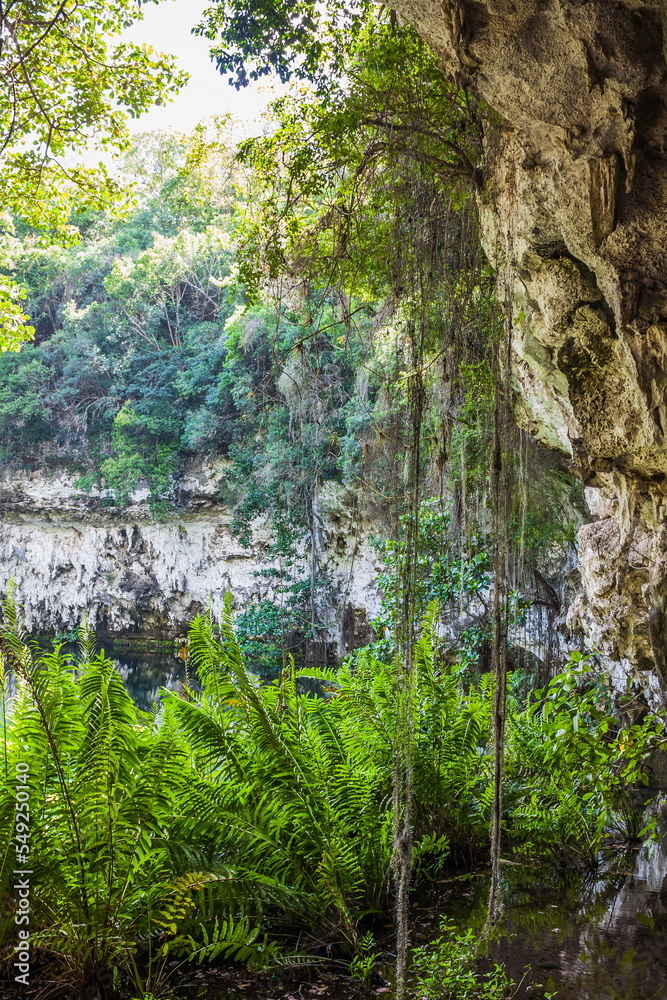 Exit from the water cave in the jungle to a small lake surrounde Exit from the water cave in the jungle to a small lake surrounde