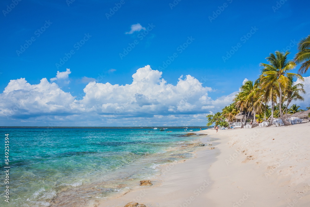 Caribbean beach with a lot of palms and white sand, Dominican Republic. Sunny warm day at the sea under palm trees. Sun loungers under palm trees