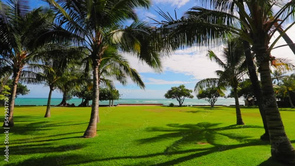 Slow Motion Shot Of Palm Trees Against Sea Under Cloudy Sky During Sunny Day - Waikiki, Hawaii