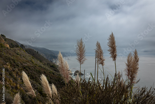 Fototapeta Naklejka Na Ścianę i Meble -  TThe beautiful west coast of California along Highway 1, at the height of the Big Sur, the pacific ocean, the pampas grass and the steep rocks