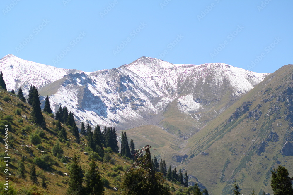 landscape with snow