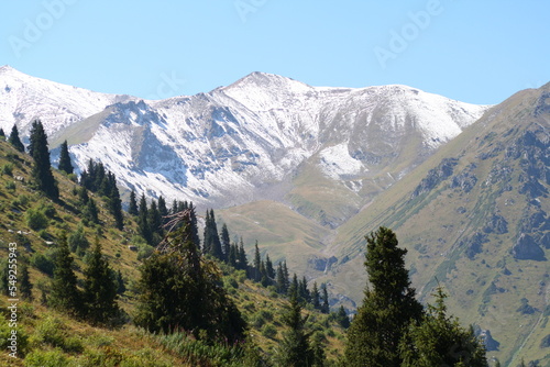 landscape with snow