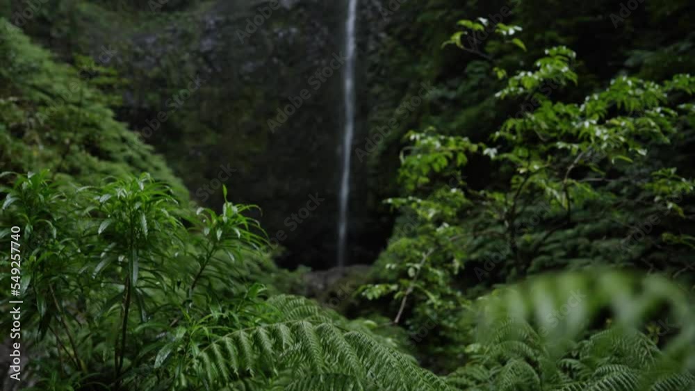 Amazing Scenery from Madeira Portugal in the atlantic ocean in the jungle with waterfalls for commercial use. Live the adventure in the nature outside.