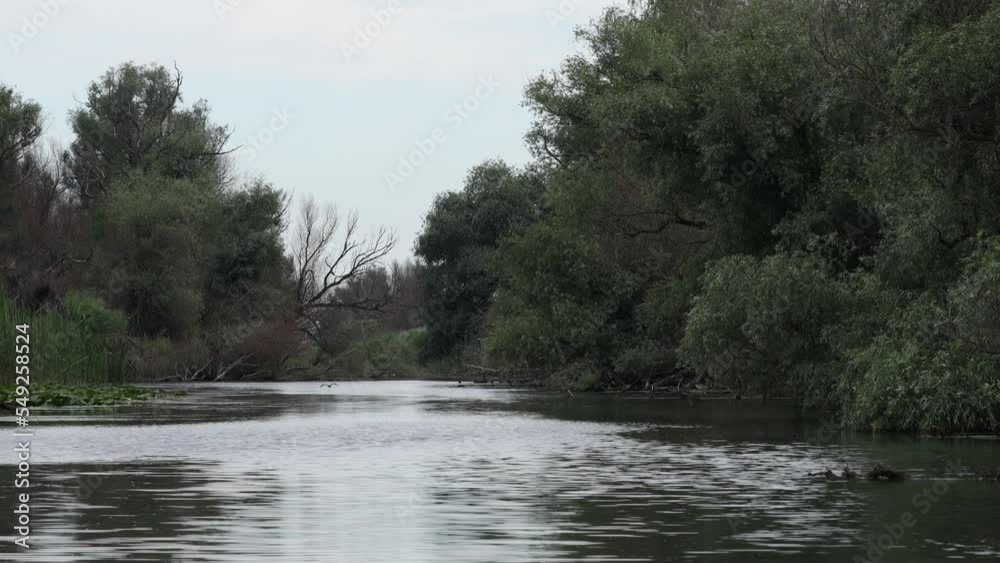 The wilderness of the danube delta The wilderness of the danube delta