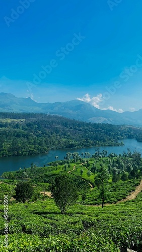 Vertical drone shot of lush greenery and river in Munnar, India