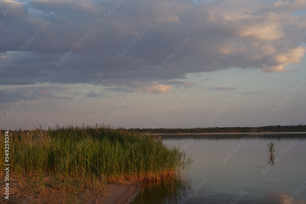 Stimmungen am neuen See in der Lausitz/Brandenburg