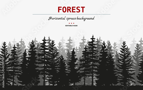 Vector silhouette of Treeline Spruce And Pines.Horizontal spruce background.Spruce treeline	