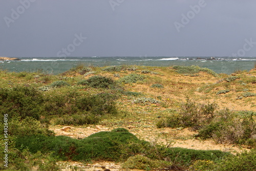 Coast of the Mediterranean Sea in northern Israel.