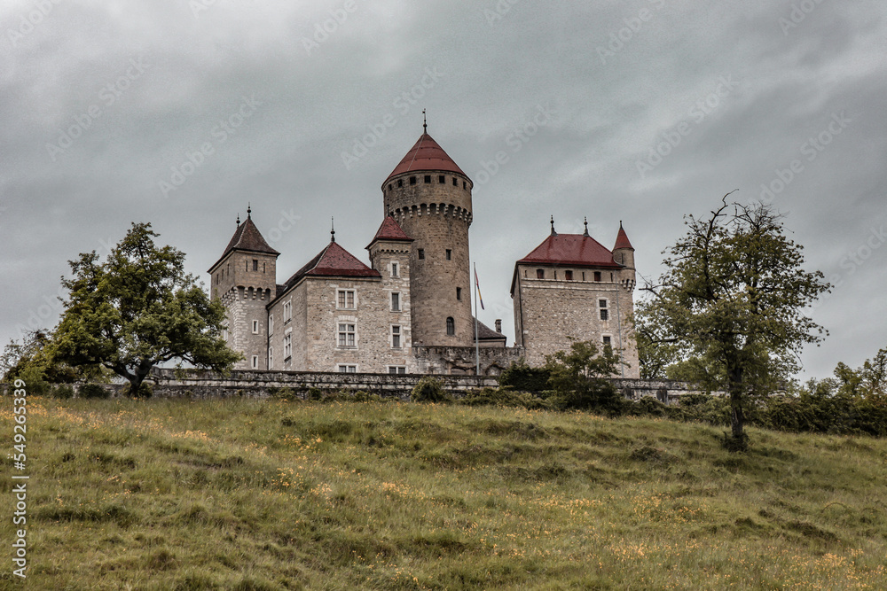 Castle of Montrottier in France.