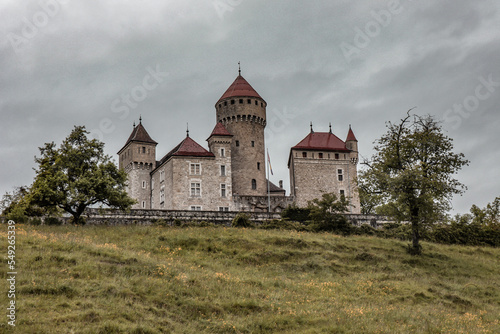 Castle of Montrottier in France.