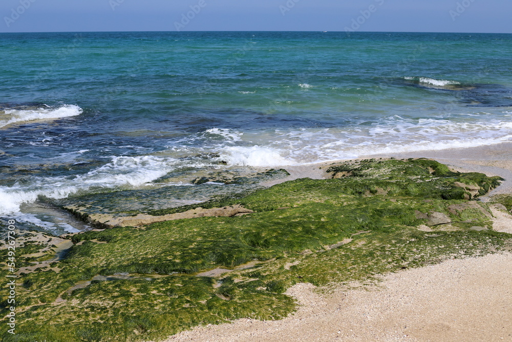 Coast of the Mediterranean Sea in northern Israel.
