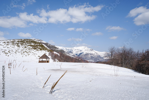 Wooden mountain summer house leaning from the wind in front of snowcapped summit photo