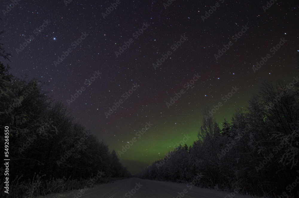 Polar lights over the winter forest. Road through the forest