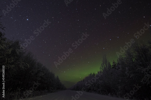 Polar lights over the winter forest. Road through the forest © Yakovlev