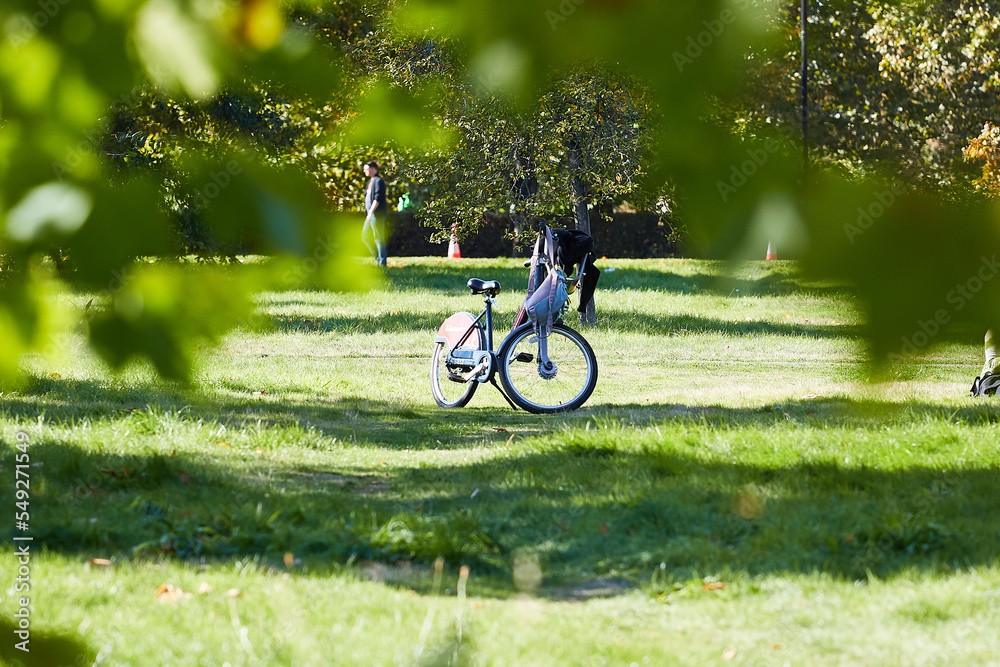 Fototapeta premium Hyde Park