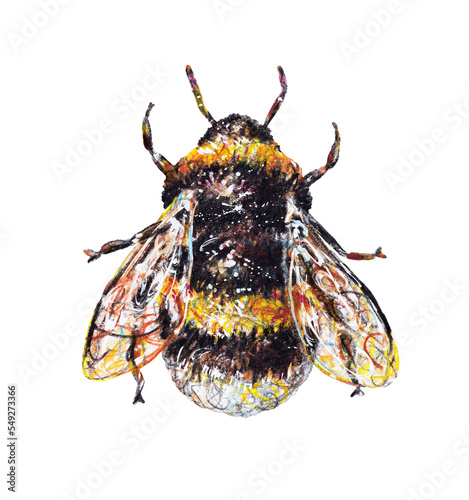 Cute bumblebee isolated on a white background. Watercolor drawing. Insects art. Handwork. Side view.