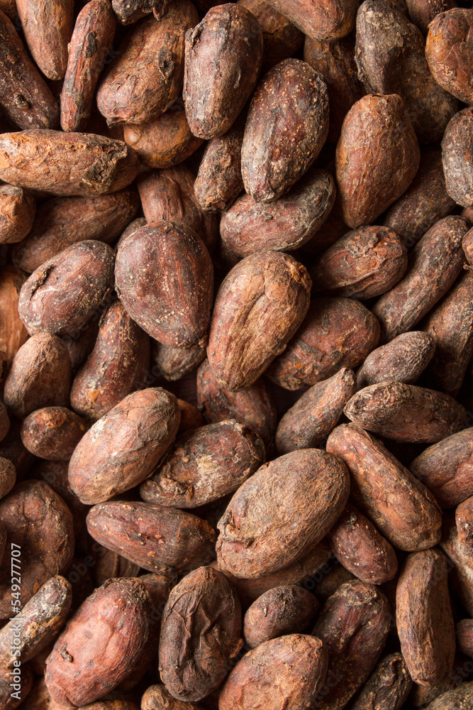 cacao beans, flat ley cacao beans, flat ley