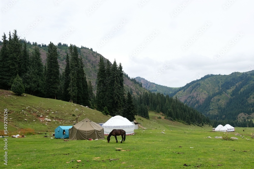 Traditional nomad's yurts on beautiful mountain meadows in the green Tien Shan Mountains in Karakol area in the summer. Rich unique nature of Central Asia, Kyrgyzstan.