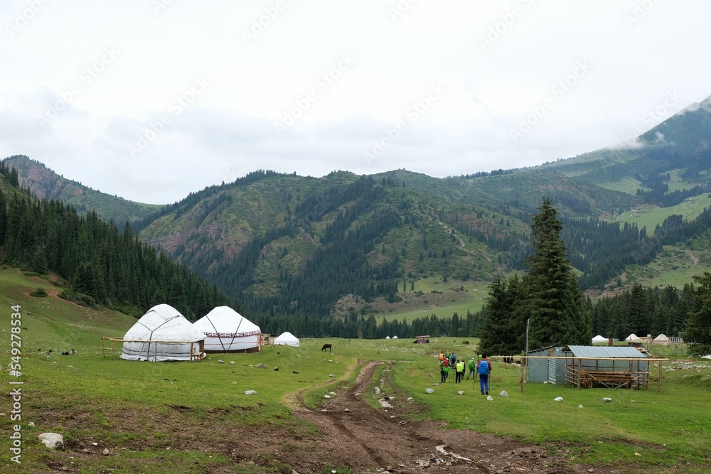 Group of tourist in yurt camp in Karakol Mountains, Tien Shan Mountains, Kyrgyzstan, Central Asia. Traditional nomad's yurts on green mountain meadow in summer. 