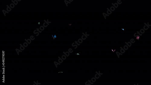 Flock of butterfly is flying random position in the air with 3D rendering include alpha matte.