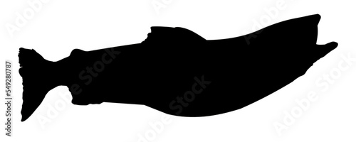 fish silhouette
