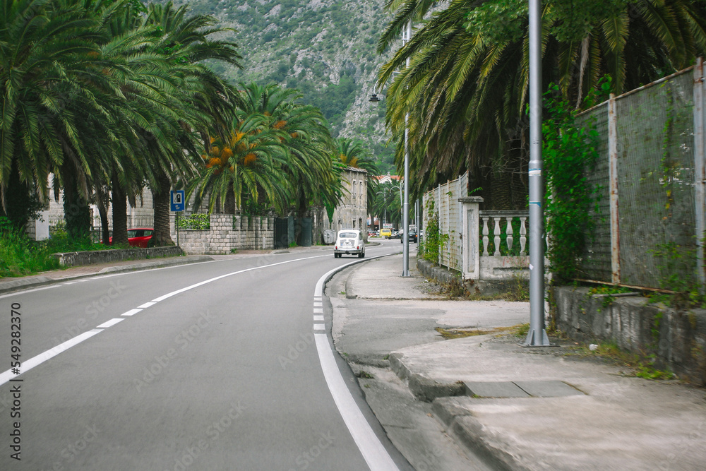 the road goes along the palm trees and the promenade to the city, a small old white car drives ahead

