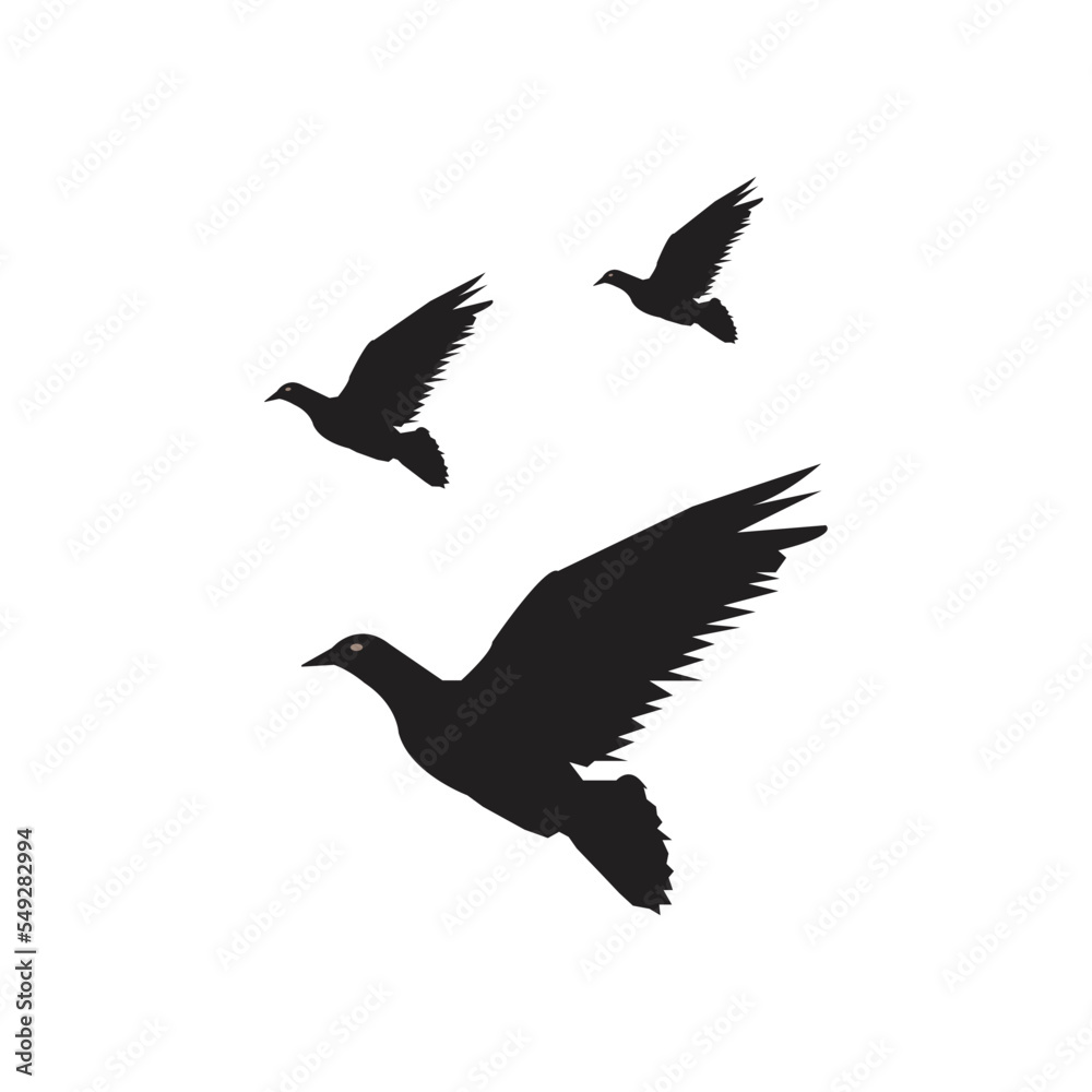 Fototapeta premium dove icon