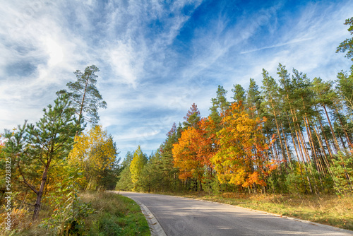 Landscape autumn with colourful trees, autumn Poland, Europe and amazing blue sky with clouds, sunny day