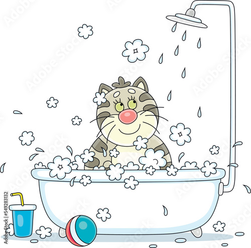 Funny fat cat relaxing, washing and splashing with a shampoo foam in a bubble bath, vector cartoon illustration isolated on a white background