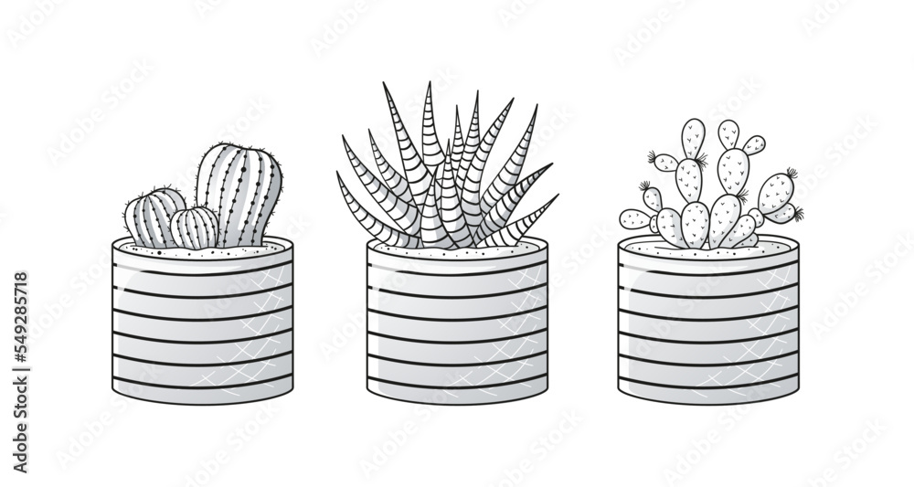 Set of black and white succulents in pots, made in one style. Cactus ...