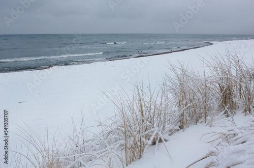 dry grass on a beach covered with snow. Winter sea with small blue waves