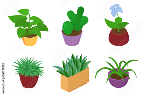 Flower pot set, green plant isometric collection, vector illustration. Nature decoration, houseplant, isolated on white design.