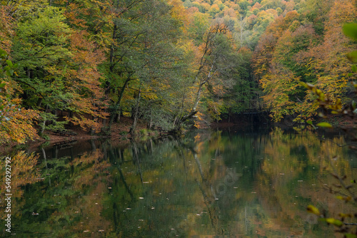 Autumn Season Reflections in the Yedigoller National Park  Yedigoller Lake Bolu  Turkey