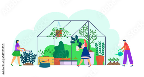 Plant grow in greenhouse, garden nature at building, vector illustration. Cartoon gardening with green agriculture plant, flower. Flat man woman
