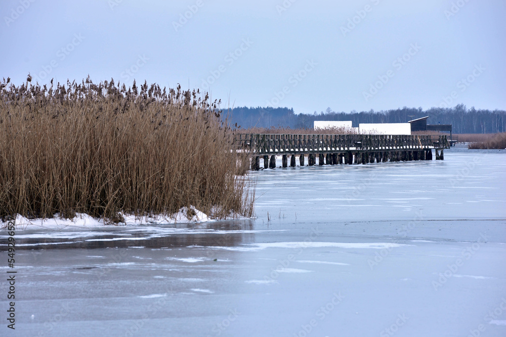 Vogelschutzgebiet Federsee in Oberschwaben im Winter bei eisegen Temeraturen und Frost mit Sonnenaufgang Vogelschutzgebiet Federsee in Oberschwaben im Winter bei eisegen Temeraturen und Frost mit Sonnenaufgang