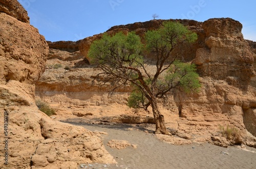 Beautiful landscape at Sesriem canyon, Namibia photo