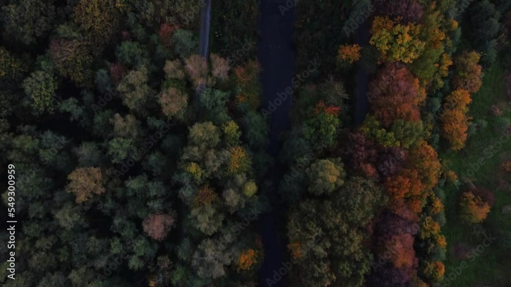 View of the river surrounded by autumn deciduous forest playing with all the colours of October and November. A breathtaking fairy tale from mother nature. Yellow, green, orange, red all in one place.