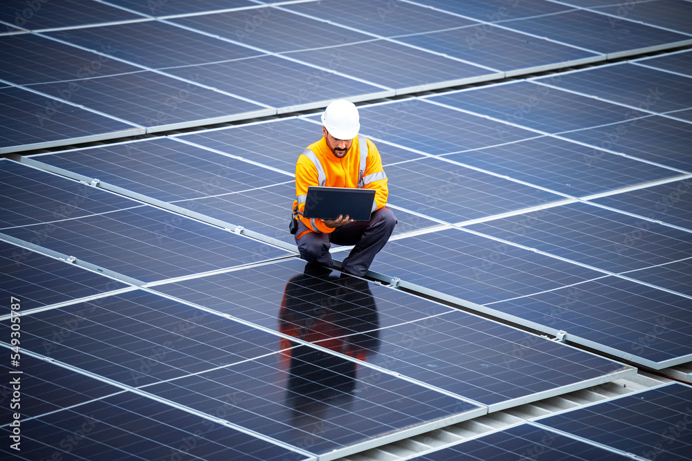 custom made wallpaper toronto digitalRenewable energy sources and solar engineer checking photovoltaic panels and electricity production.