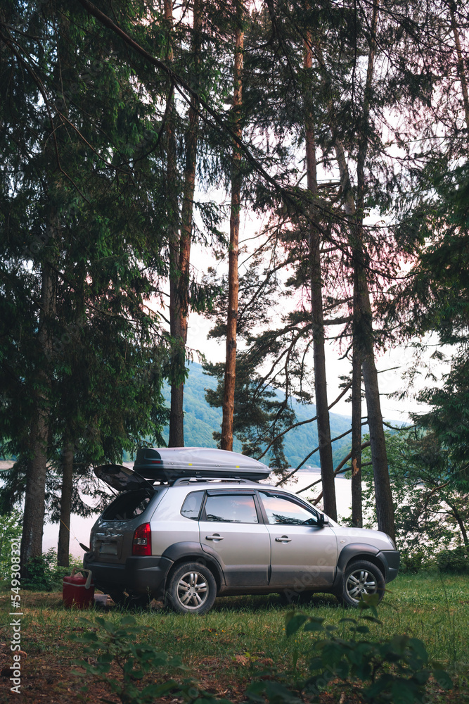 Camp, camping in wilderness. Travel and tourism by car. Vehicle near tall coniferous trees. Tents and active recreation in the Carpathian Mountains. Vertical photo.